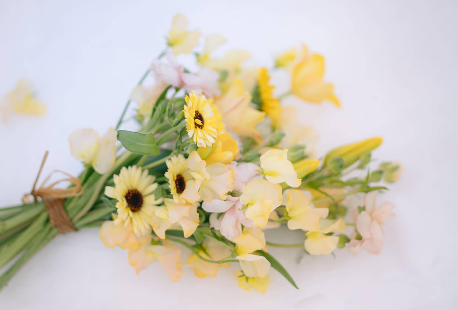ヘアスタイル 2023　秋/冬