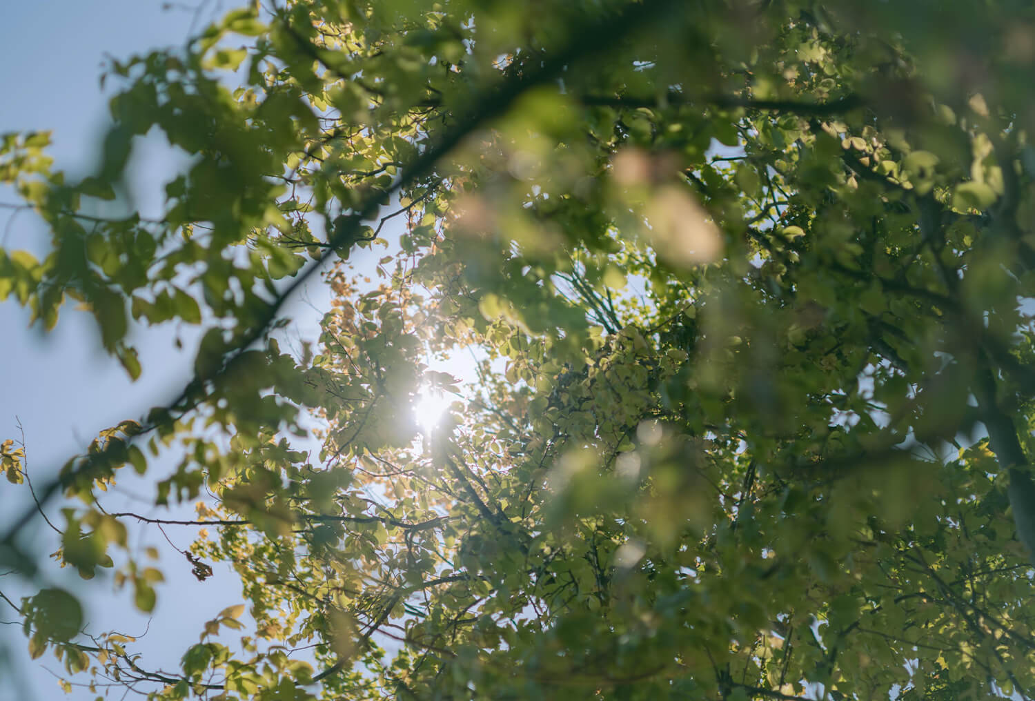 ヘアスタイル 2023　秋/冬