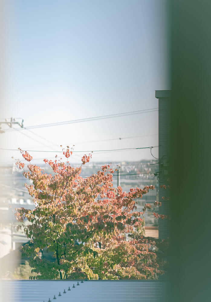 ヘアスタイル 2023　秋/冬