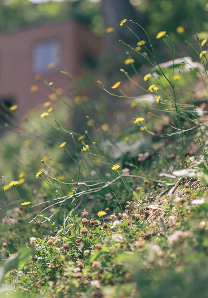 ヘアスタイル 2024 夏