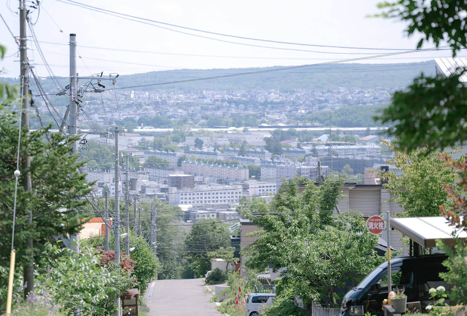 ヘアスタイル 2024 夏