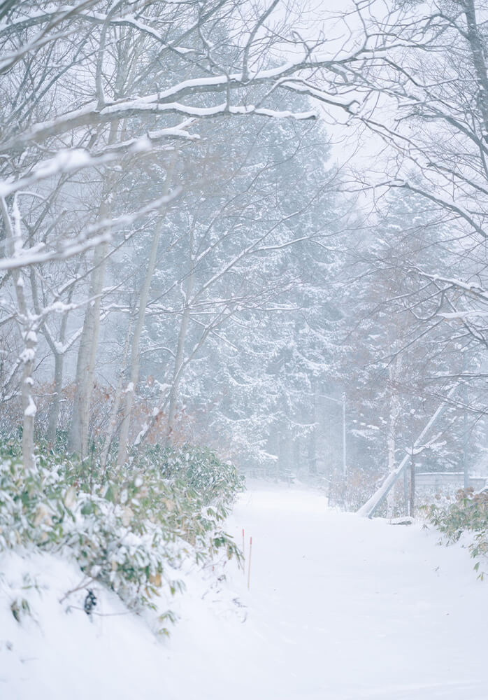 ヘアスタイル 2024 冬 08